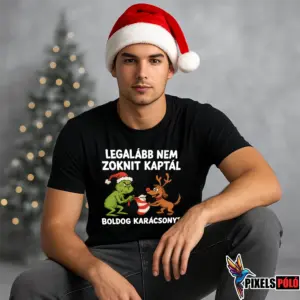 Legalább nem zoknit kaptál póló – humoros Grinch és kutya grafika zoknin – vicces karácsonyi póló
